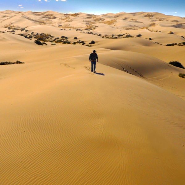 vaquero caminando por el desierto en las dunas de samalayuca